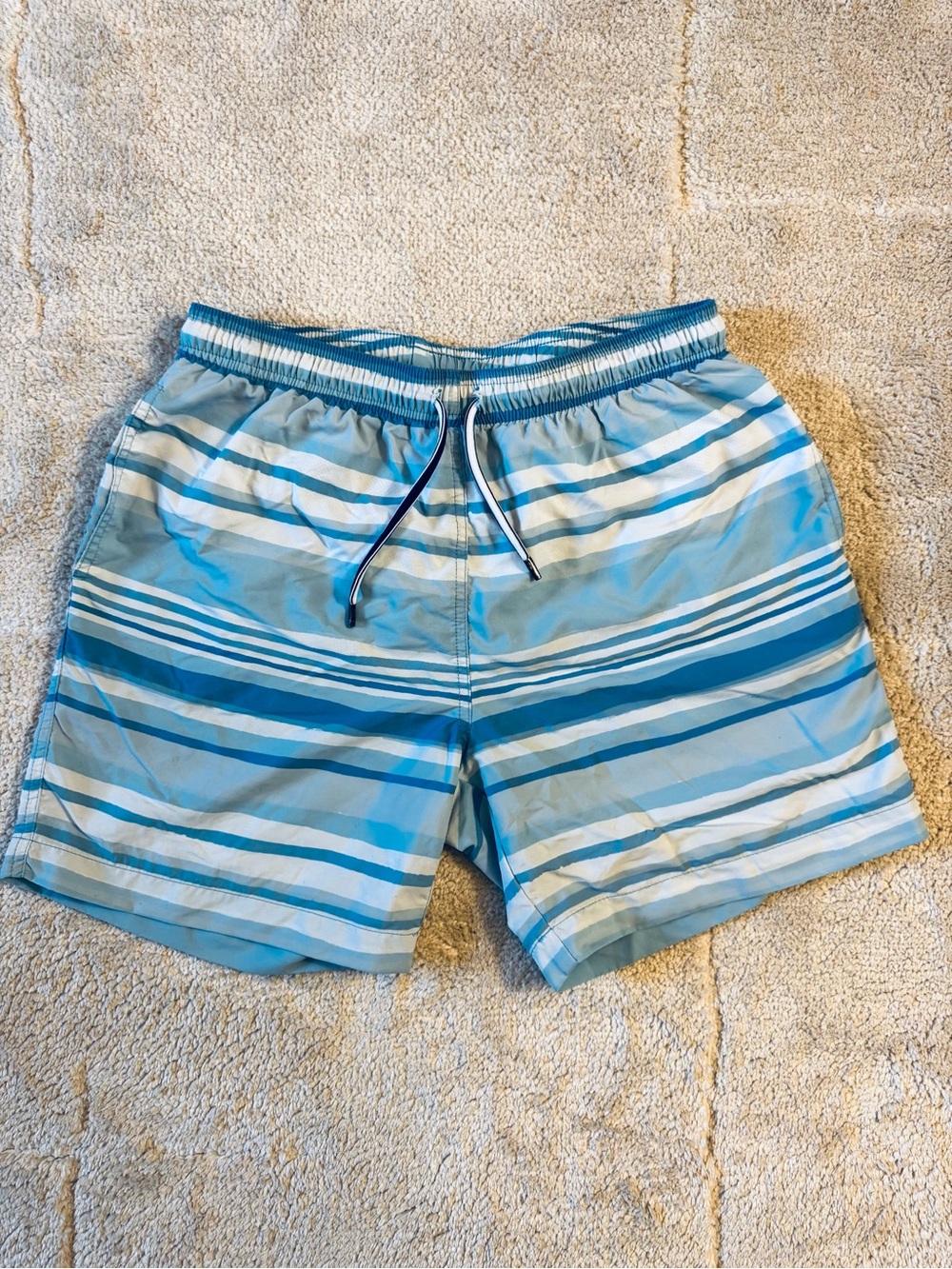 J. McLaughlin Blue Striped Swim Shorts